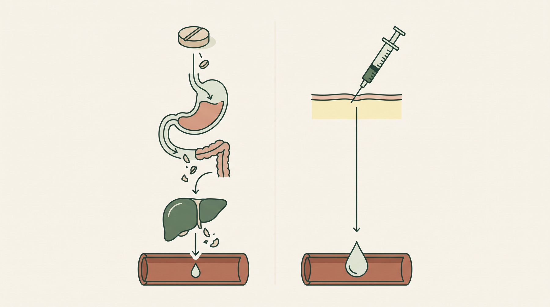 Diagram: a tablet breaking down through the stomach, gut and liver with one droplet left, versus a shot through the skin delivering a full droplet