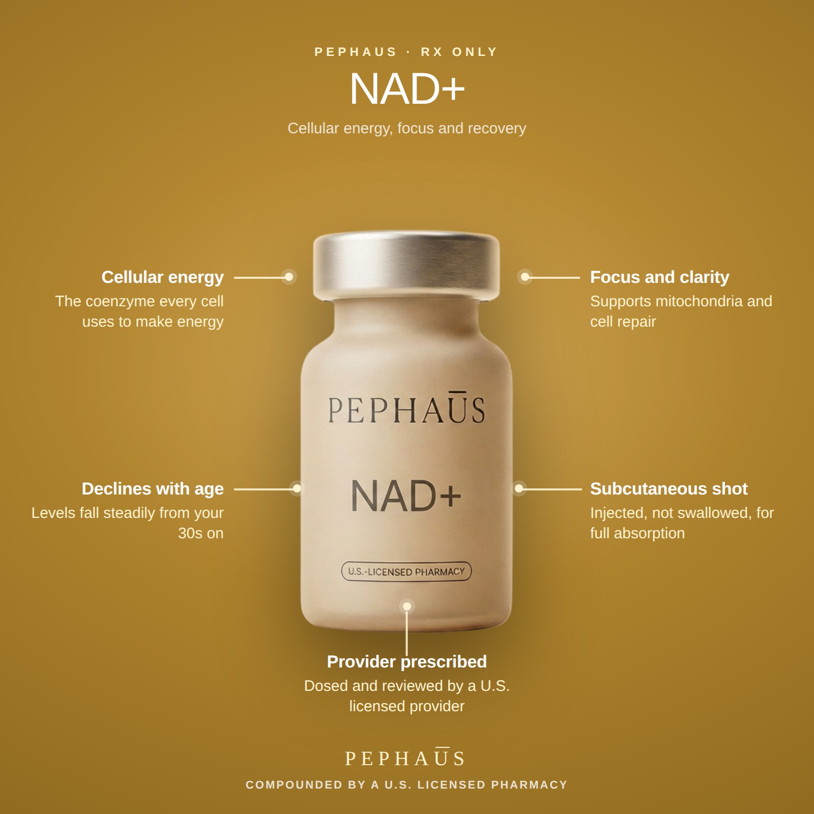 What NAD+ does